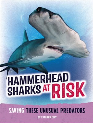 Hammerhead Sharks At Risk: Saving These Unusual Predators-..