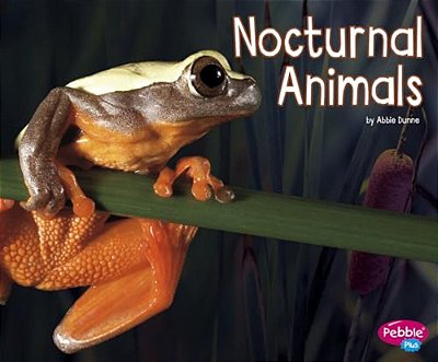 Nocturnal Animals-..