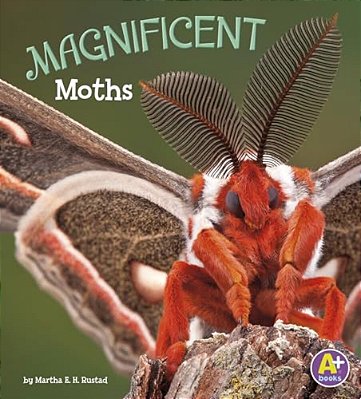 Magnificent Moths-..