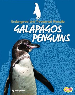 Galapagos Penguins-..