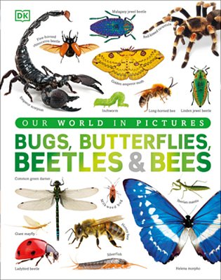Our World In Pictures Bugs, Butterflies, Beetles And Bees-..
