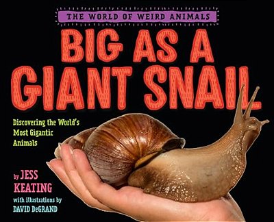 Big As A Giant Snail-..