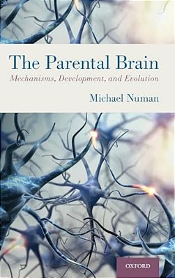 Parental Brain: Mechanisms, Development, And Evolution-..