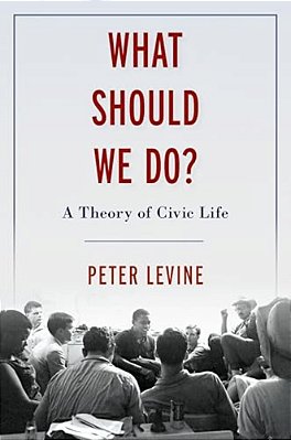 What Should We Do?: A Theory Of Civic Life-..