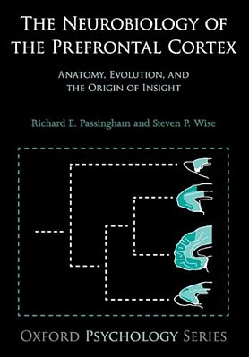 Neurobiology Of The Prefrontal Cortex: Anatomy, Evolution, And The Origin Of Insight-..