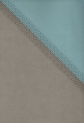 Niv Application Bible, Leathersoft, Teal/Grey, Red Letter, Thumb Indexed, Comfort Print: Bringing The Ancient Message Of The Bible Into Your World-..