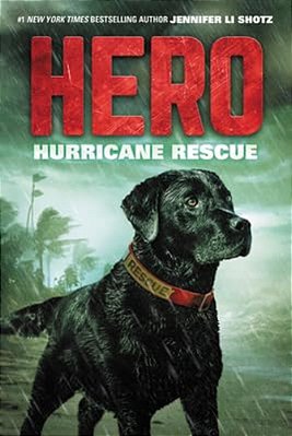 Hero: Hurricane Rescue-..