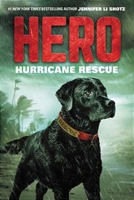 Hero: Hurricane Rescue-..