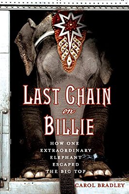 Last Chain On Billie-..