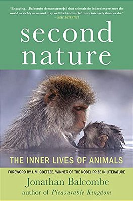 Second Nature-..