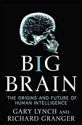 Big Brain-..