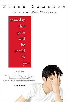 Someday This Pain Will Be Useful To You-..