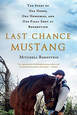 Last Chance Mustang-..