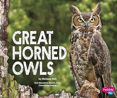Great Horned Owls-..