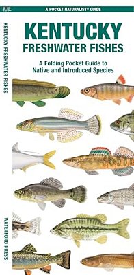 Kentucky Freshwater Fishes: A Folding Pocket Guide To Native And Introduced Species-..