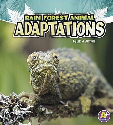 Rain Forest Animal Adaptations-..