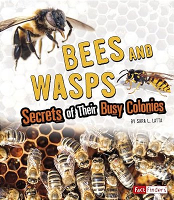 Bees And Wasps: Secrets Of Their Busy Colonies-..