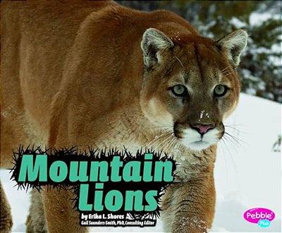 Mountain Lions-..