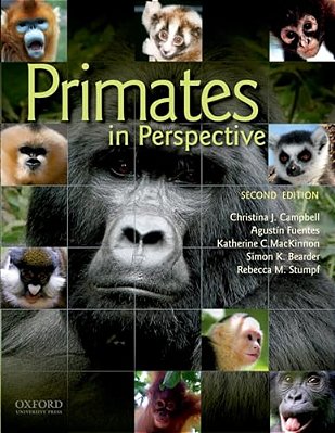 Primates In Perspective-..