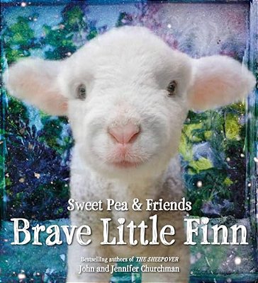 Brave Little Finn-..