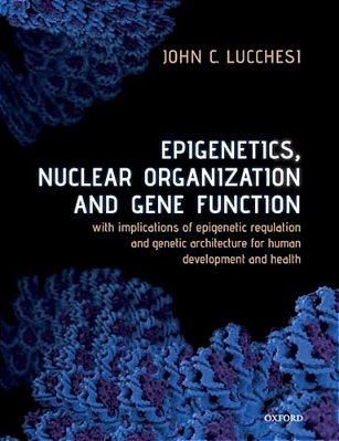 Epigenetics, Nuclear Organization & Gene Function: With Implications Of Epigenetic Regulation And Genetic Architecture For Human Development And Healt-..
