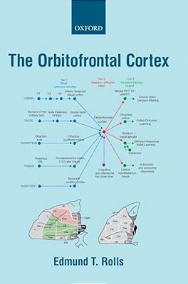 Orbitofrontal Cortex-..