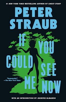 If You Could See Me Now-..