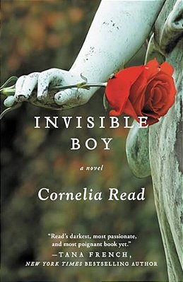 Invisible Boy-..