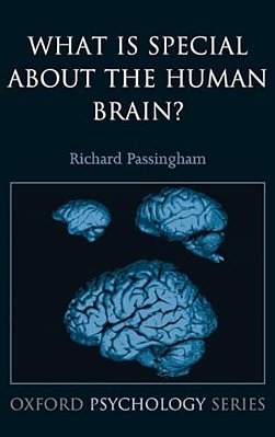 What Is Special About The Human Brain?-..