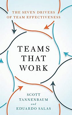 Teams That Work: The Seven Drivers Of Team Effectiveness-..