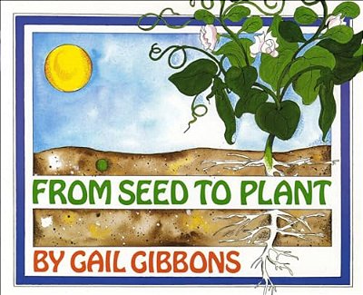 From Seed To Plant-..