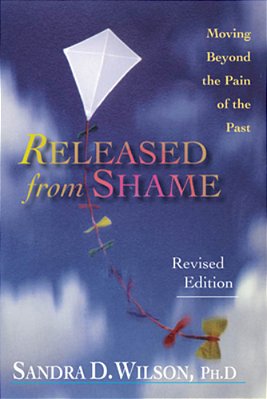 Released From Shame: Moving Beyond The Pain Of The Past-..