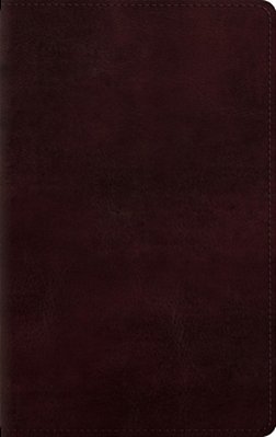 Large Print Personal Size Bible-Esv-..