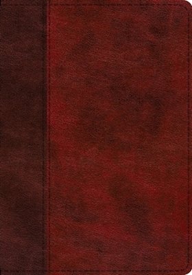 Esv Single Column Journaling Bible, Large Print (Trutone, Burgundy/Red, Timeless Design)-..