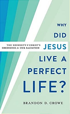Why Did Jesus Live A Perfect Life?-..