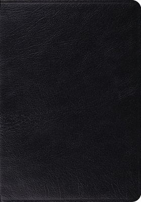 Study Bible-Esv-..