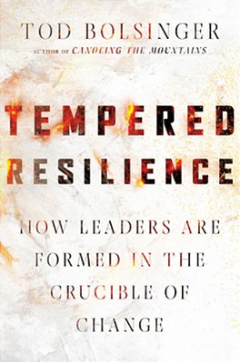 Tempered Resilience: How Leaders Are Formed In The Crucible Of Change-..