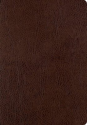 Esv Single Column Journaling Bible, Large Print (Mocha)-..