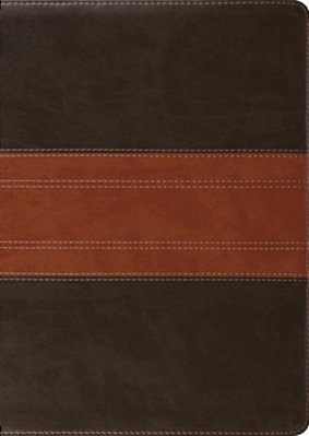 Esv Study Bible, Large Print (Trutone, Forest/Tan, Trail Design)-..