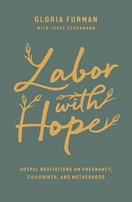 Labor With Hope: Gospel Meditations On Pregnancy, Childbirth, And Motherhood-..