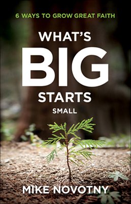What's Big Starts Small: 6 Ways To Grow Great Faith-..