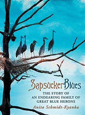 Sapsucker Blues: The Story Of An Endearing Family Of Great Blue Herons-..