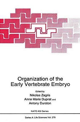 Organization Of The Early Vertebrate Embryo-..