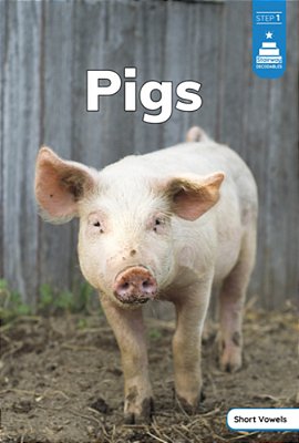 Pigs-..