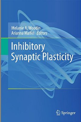 Inhibitory Synaptic Plasticity-..