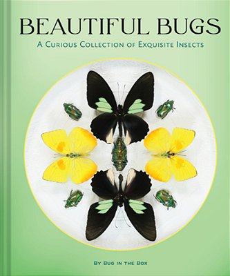 Beautiful Bugs: A Curious Collection Of Exquisite Insects-..