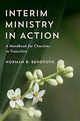 Interim Ministry In Action: A Handbook For Churches In Transition-..
