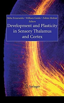 Development And Plasticity In Sensory Thalamus And Cortex-..