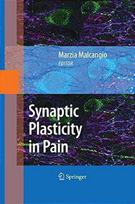 Synaptic Plasticity In Pain-..