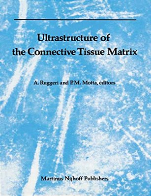 Ultrastructure Of The Connective Tissue Matrix-..